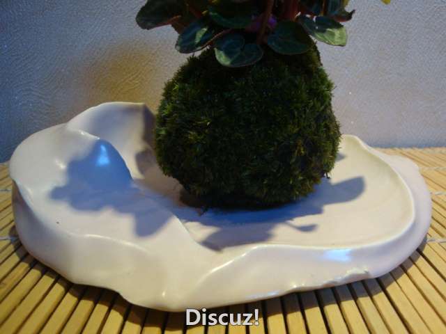 DSC02422.JPG