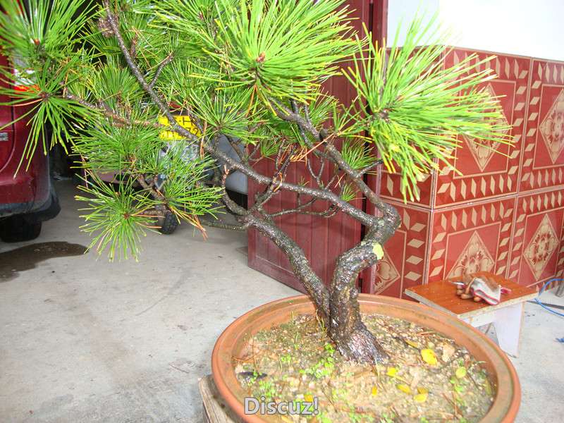 DSC04292_.jpg