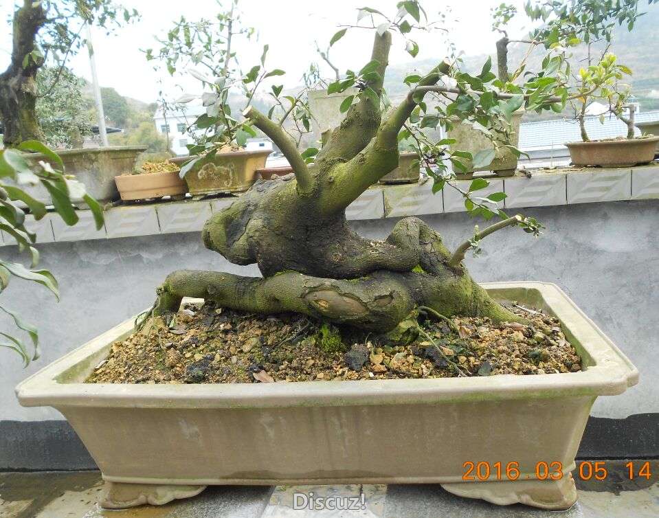 29׮[5].jpg