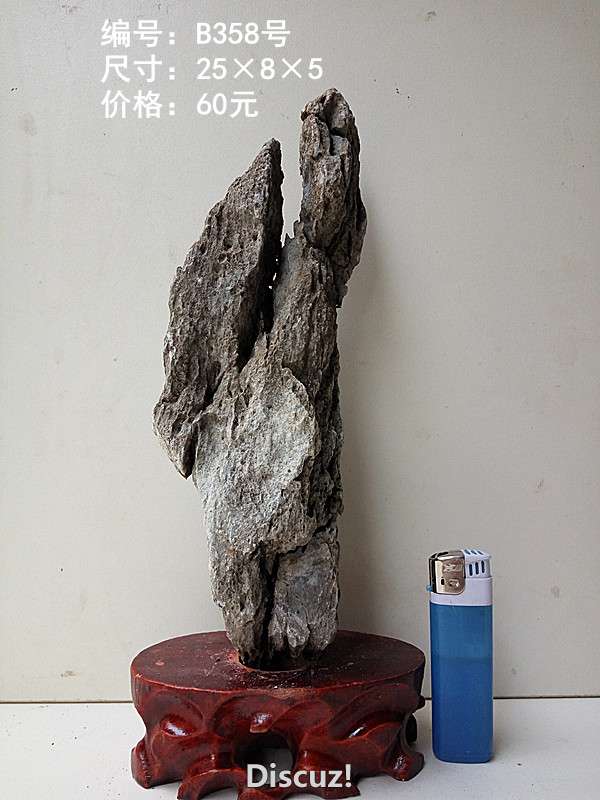 b358.jpg