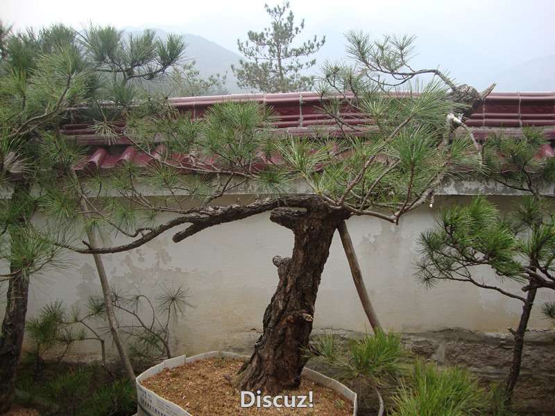 DSC05040_.jpg