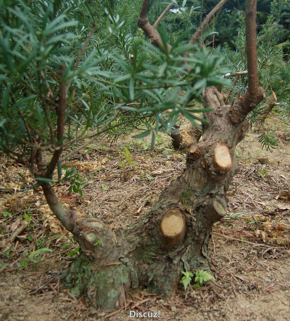 14.JPG
