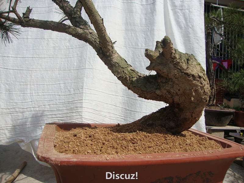 DSC05080_.jpg