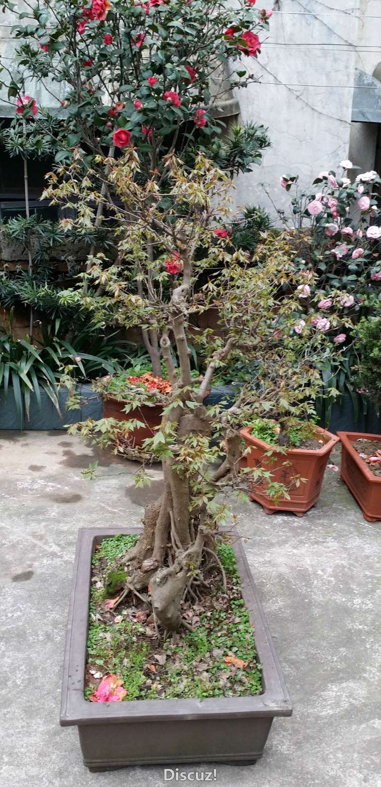 20160313_100928_meitu_3.jpg