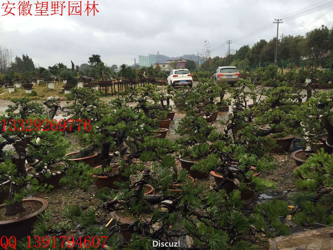 4FF65F4B99701CCF70AB18A21E71FF98.jpg