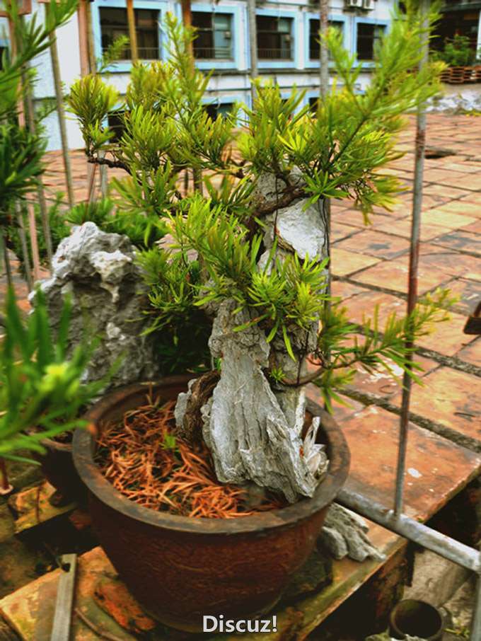 2012.7.23.jpg