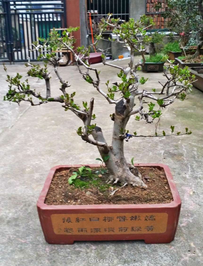 20160315_172532_meitu_4.jpg