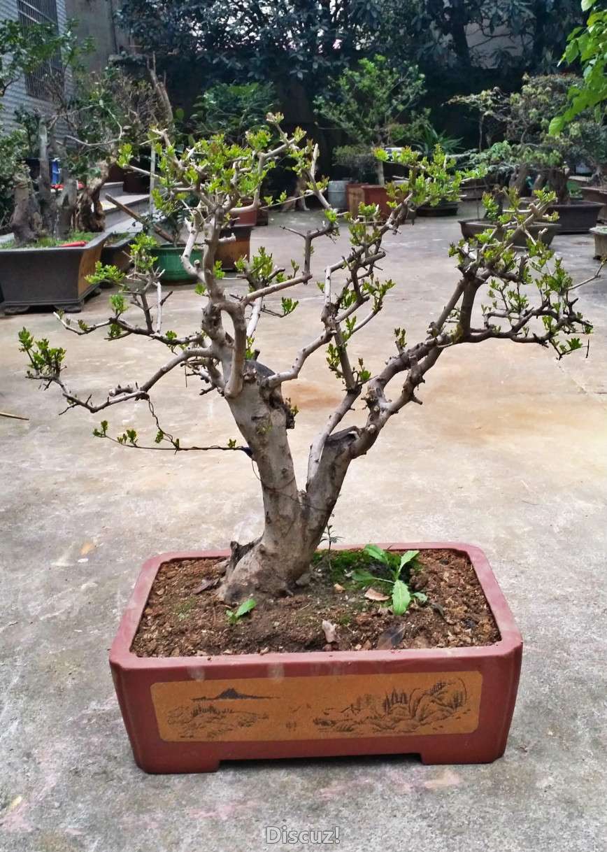 20160315_172546_meitu_5.jpg