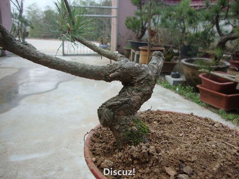 DSC05115_.jpg
