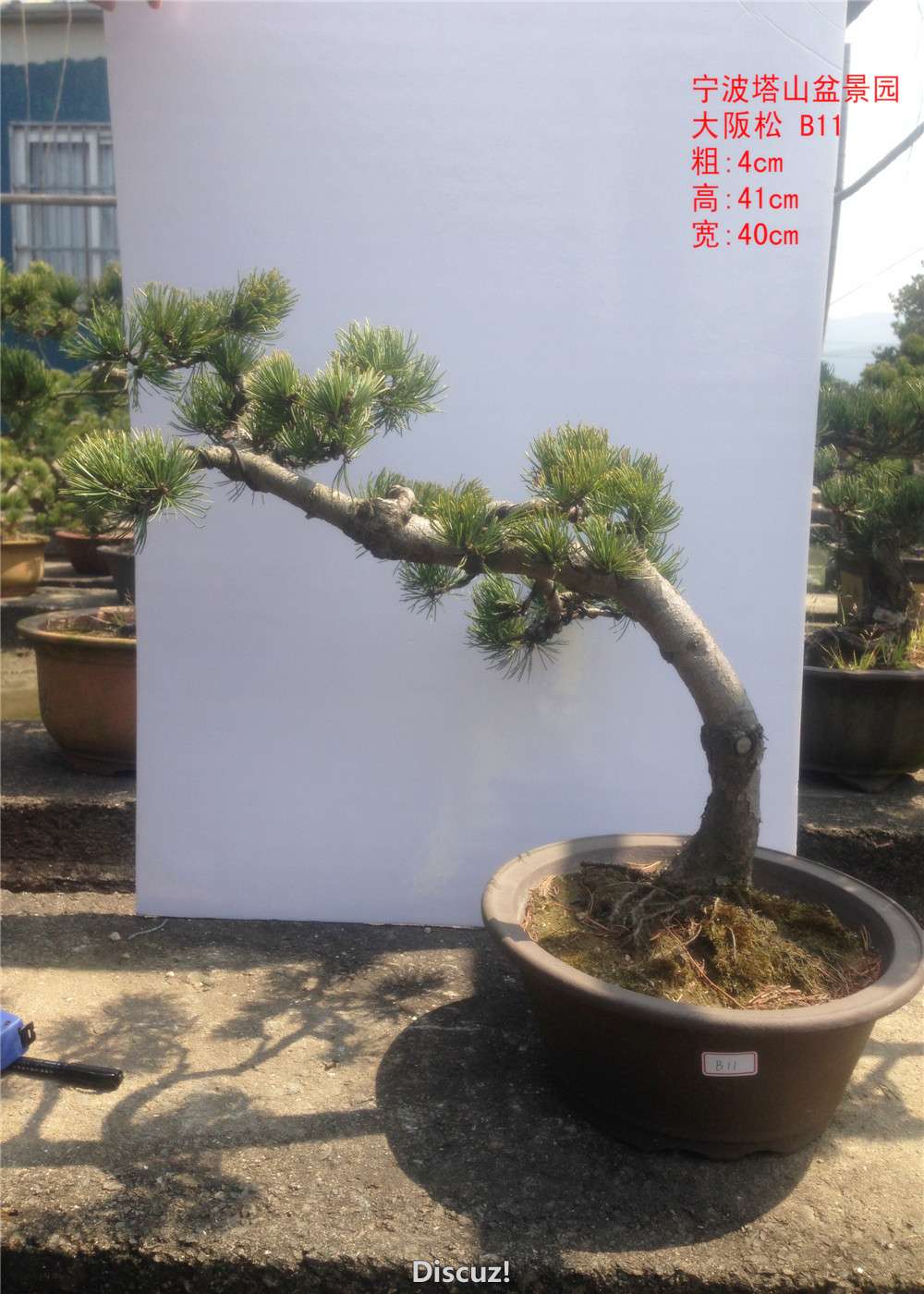 B11.jpg