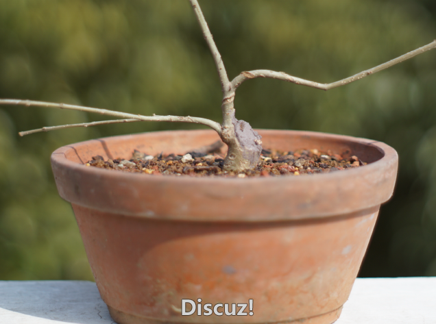 QQͼ20160316173505.png