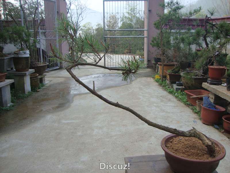 DSC05153_.jpg