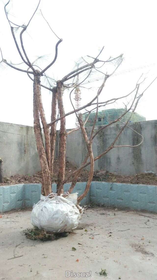 1458910306070.jpeg
