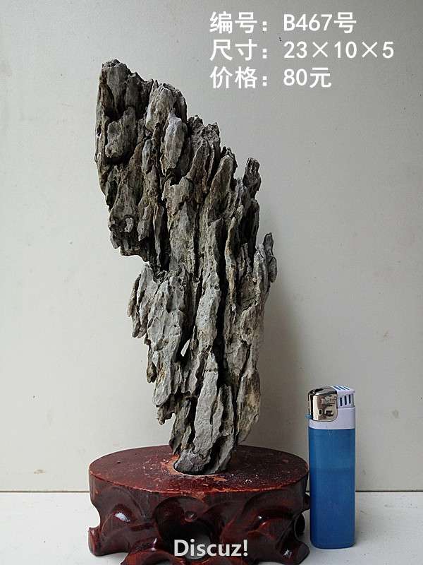 b467.jpg