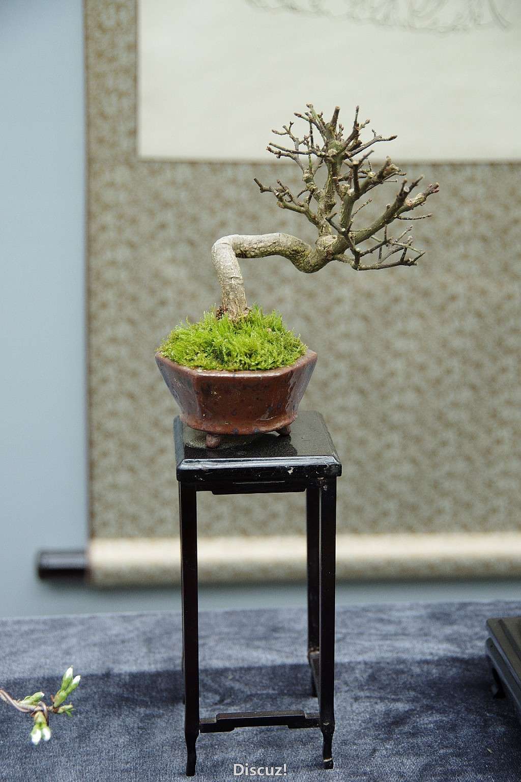 conew_imgp9114.jpg