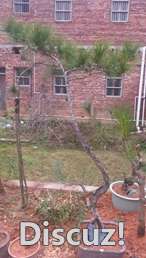 20160218_073127.jpg