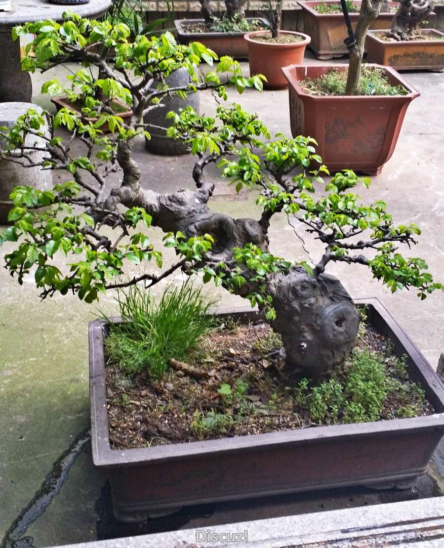 20160328_173632_meitu_1.jpg