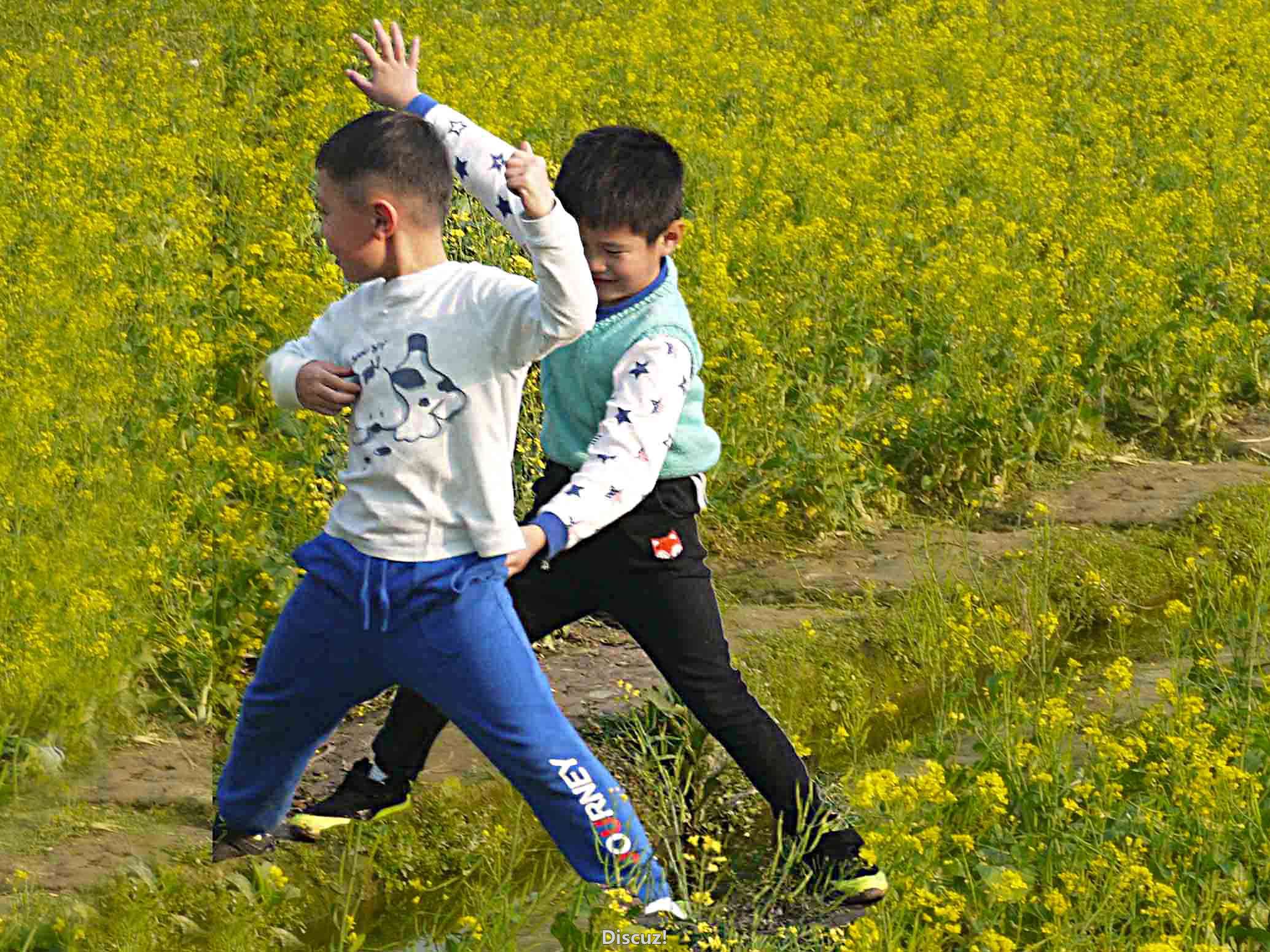P1070448.jpg