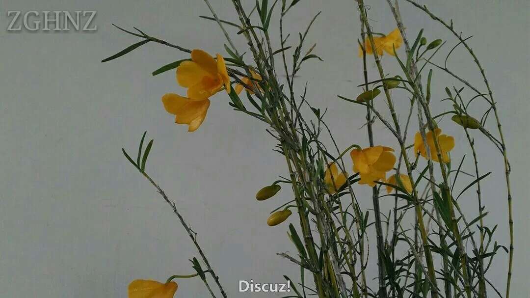 1178803421.jpeg