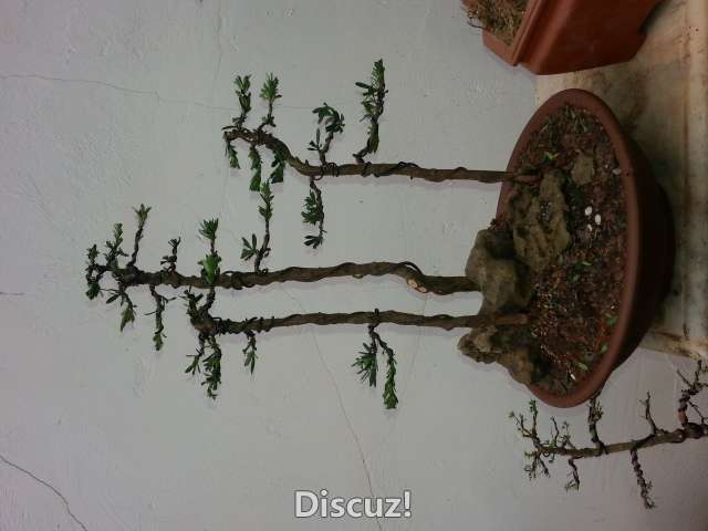 20160407_101626.jpg