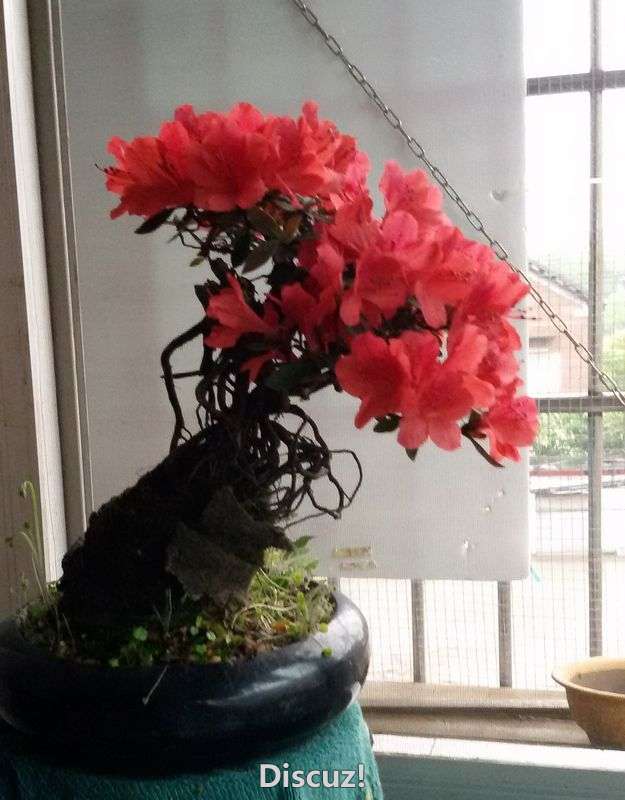20160410_074936.jpg