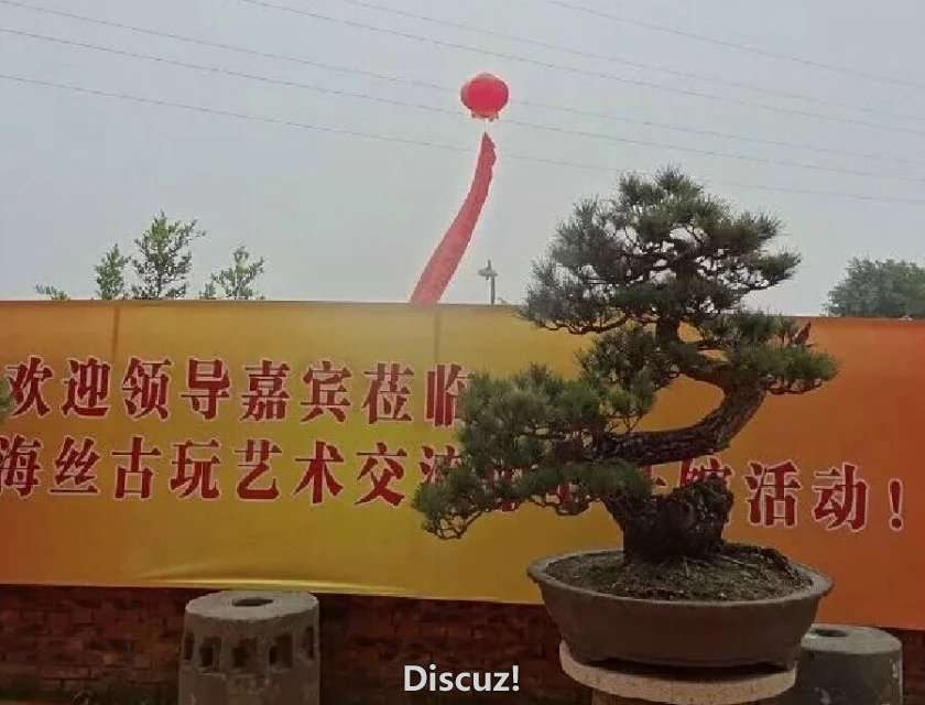 psb.jpg