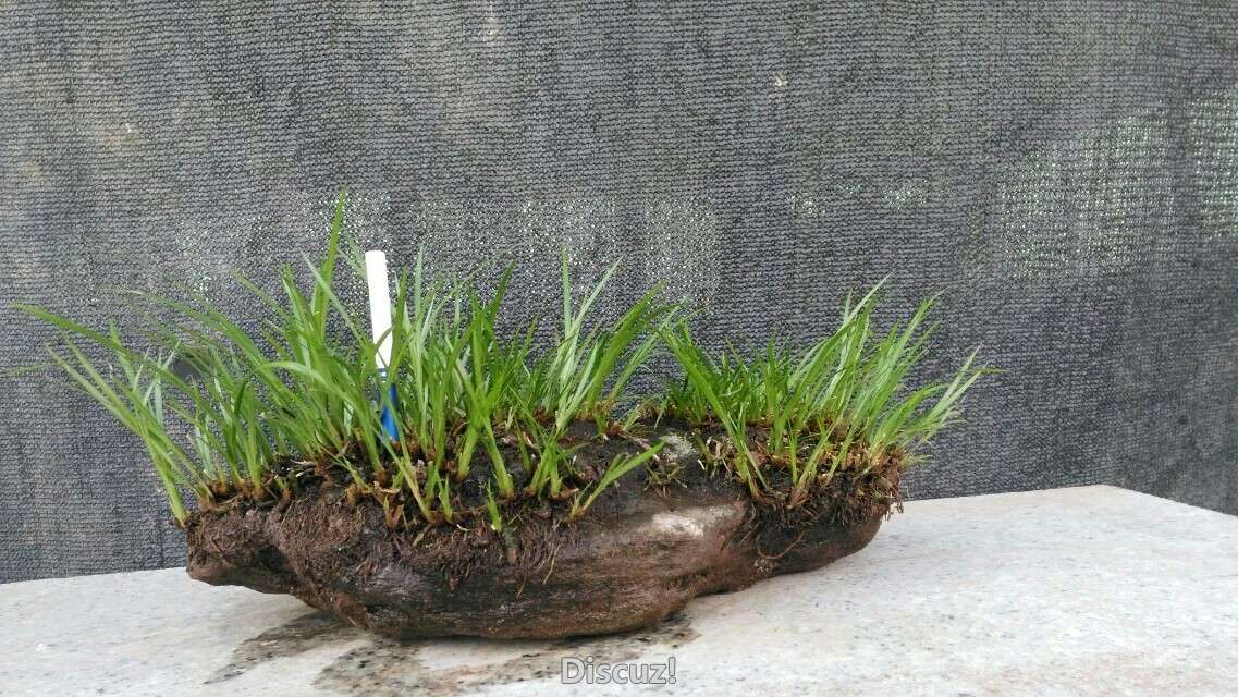 1460625600465.jpeg