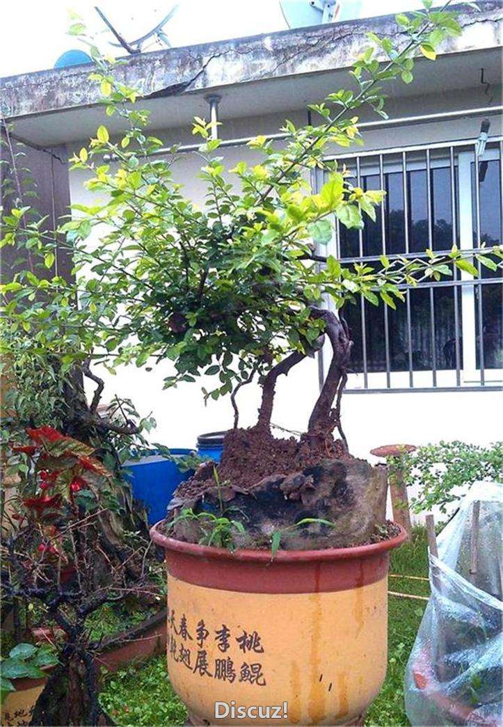 ȸ÷׮23IMG_20150614_081815_ͼ_2345ͼ_ͼ.jpg