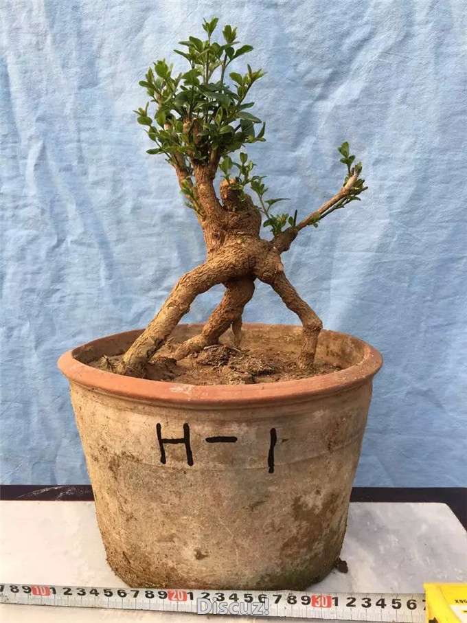 28.jpg