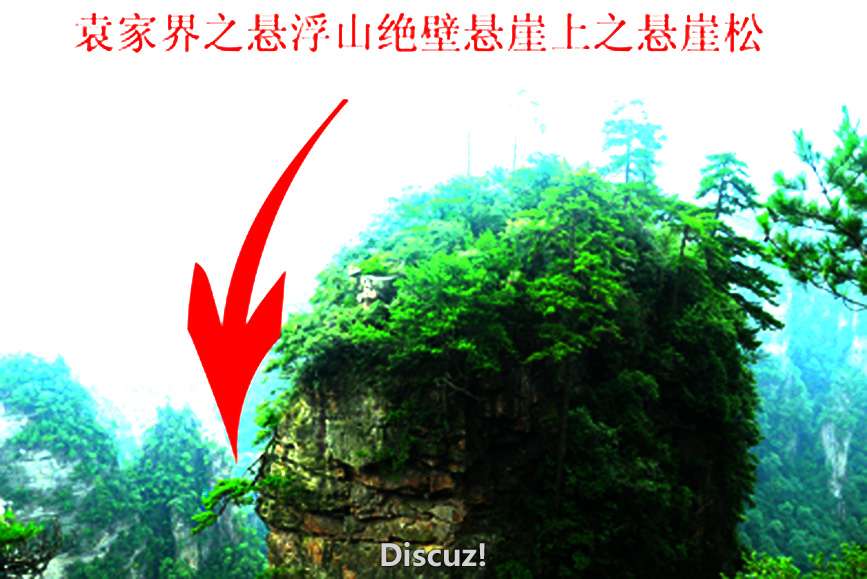 P1060459.jpg