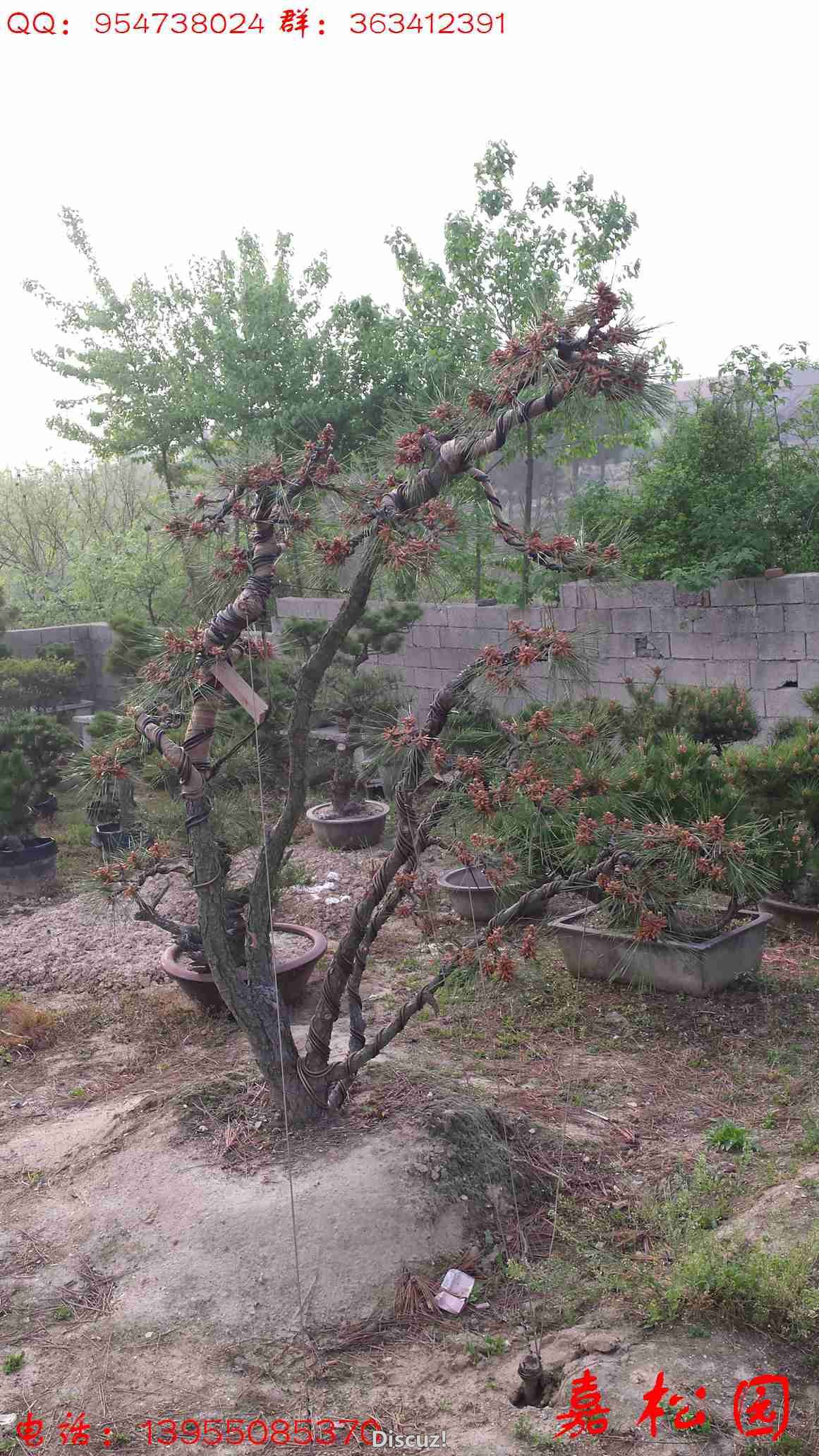 20160415_063609.jpg