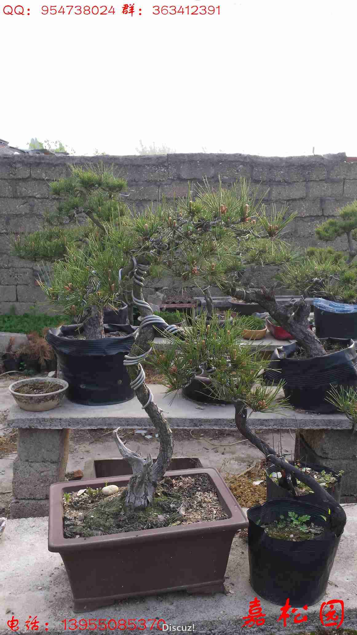 20160415_063746.jpg