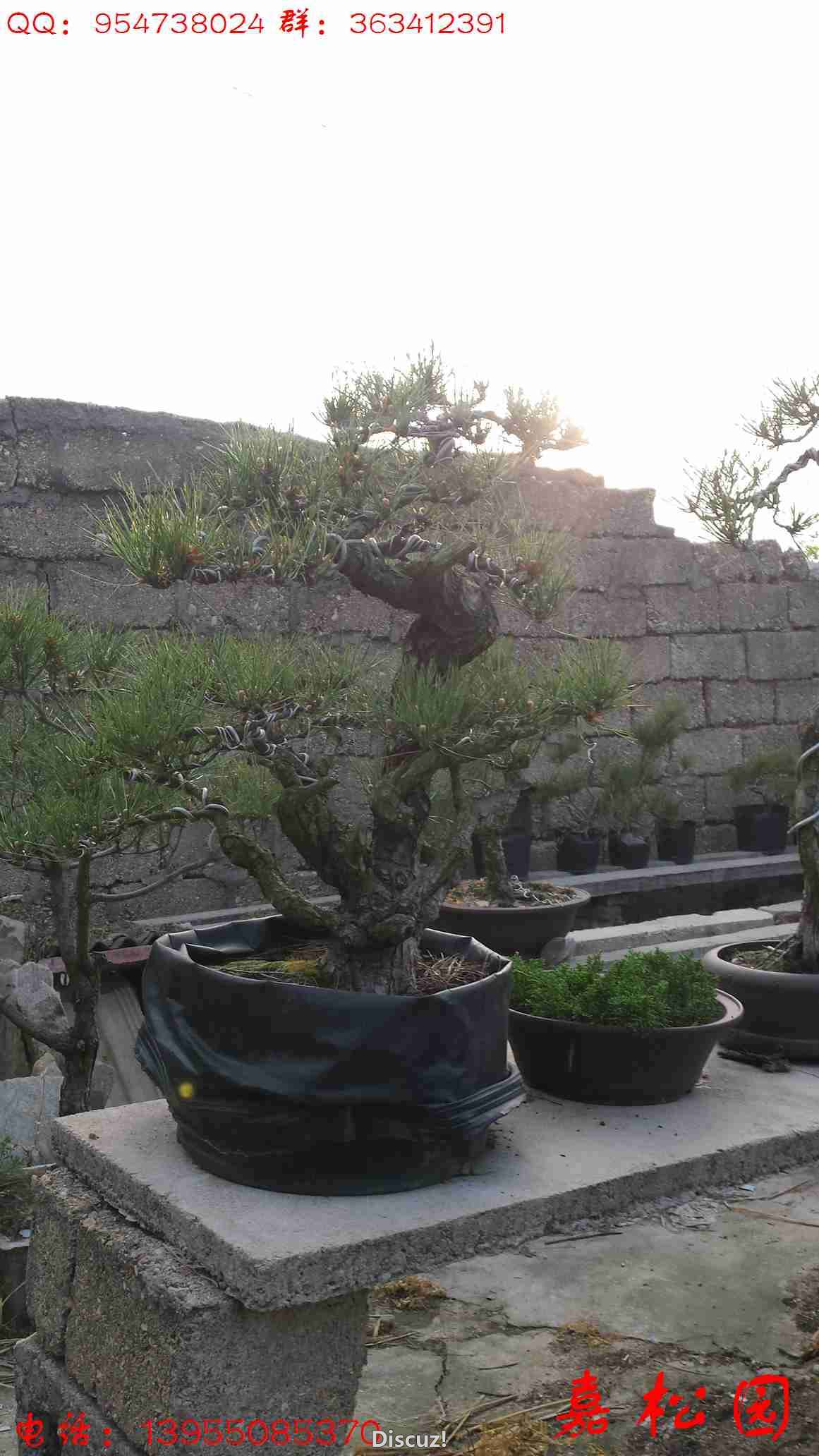 20160415_063817.jpg