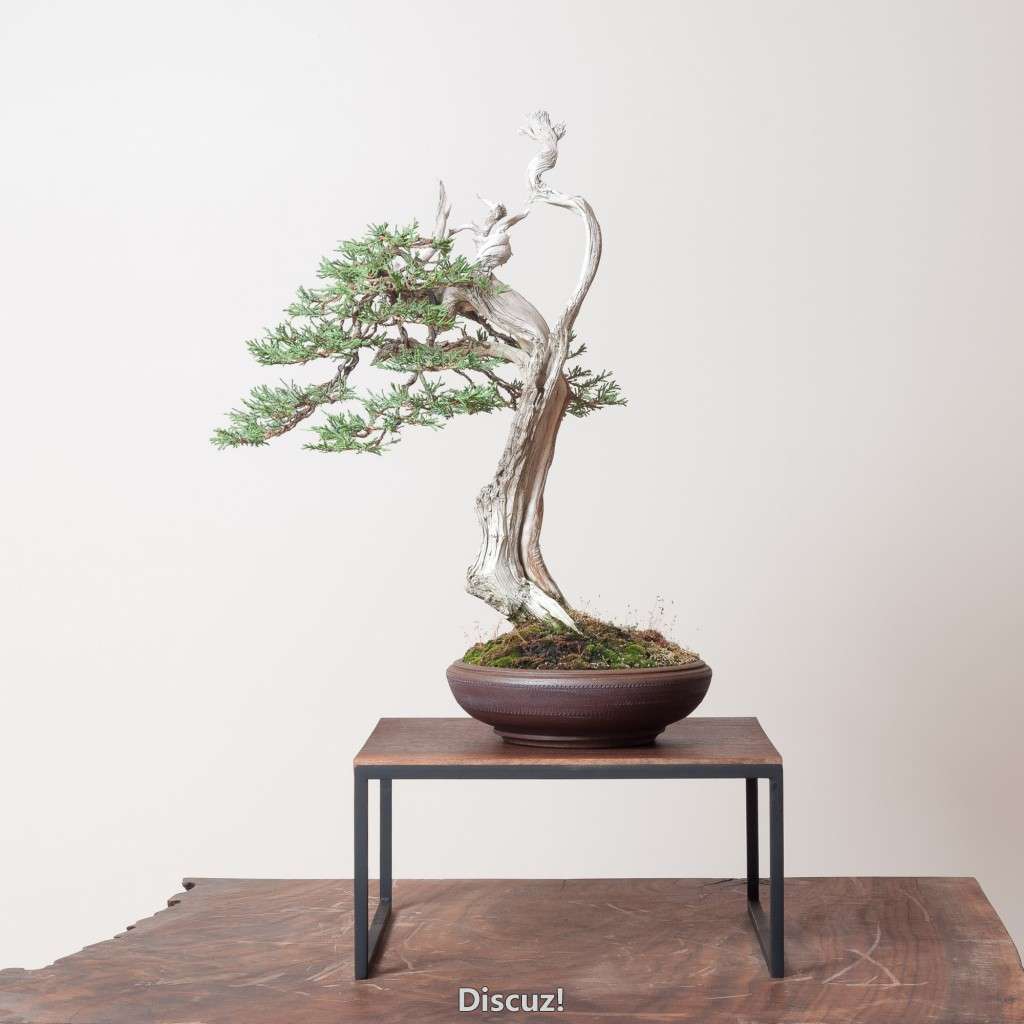 conew_14_0319_studio-249-2.jpg