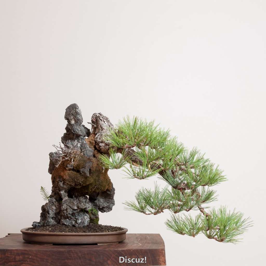 conew_14_0319_studio-423-3.jpg