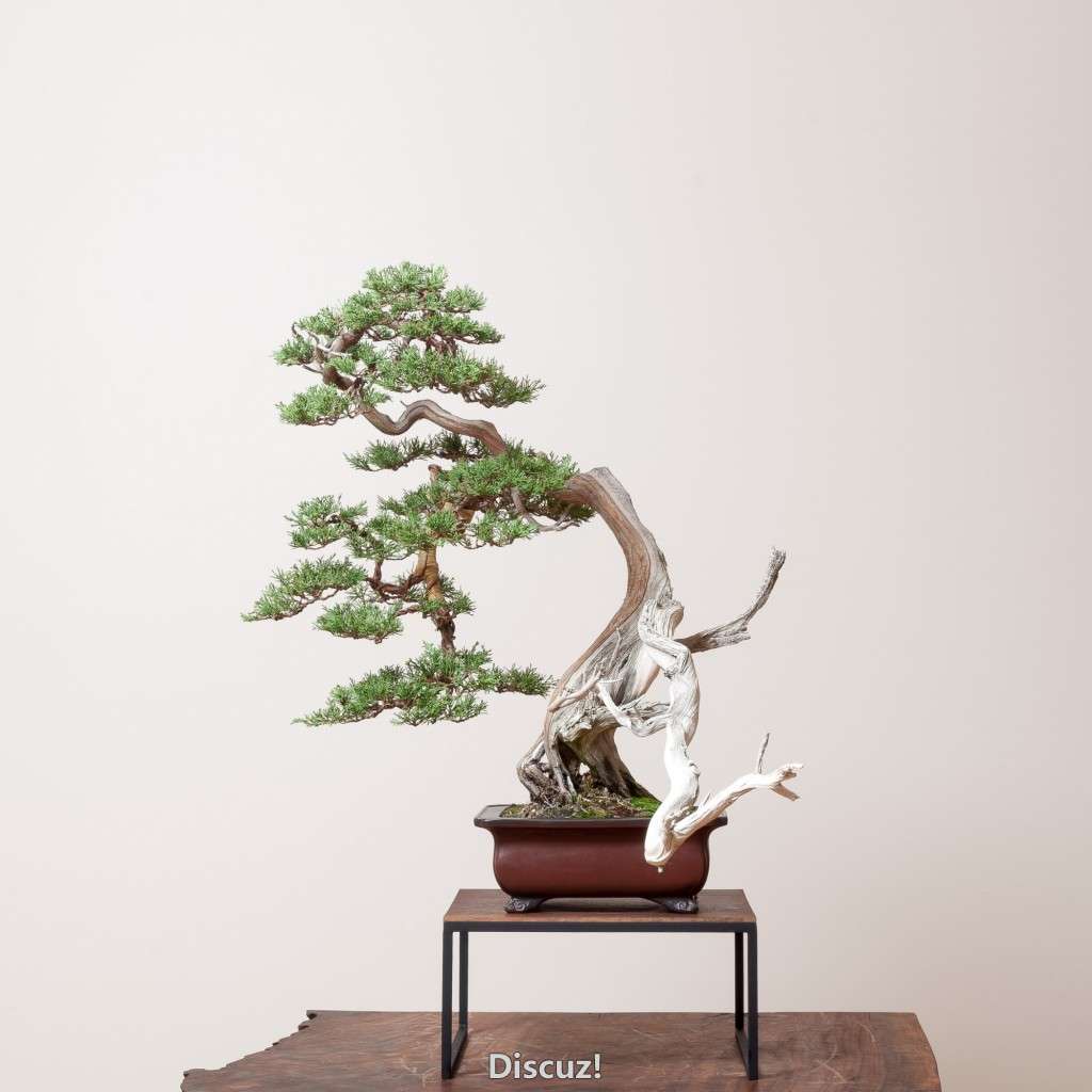conew_14_0319_studio-558-2.jpg