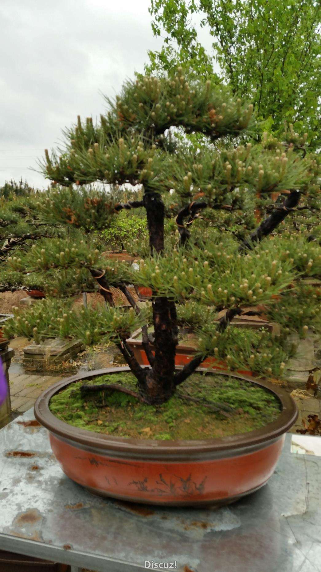 20160416_085533.jpg