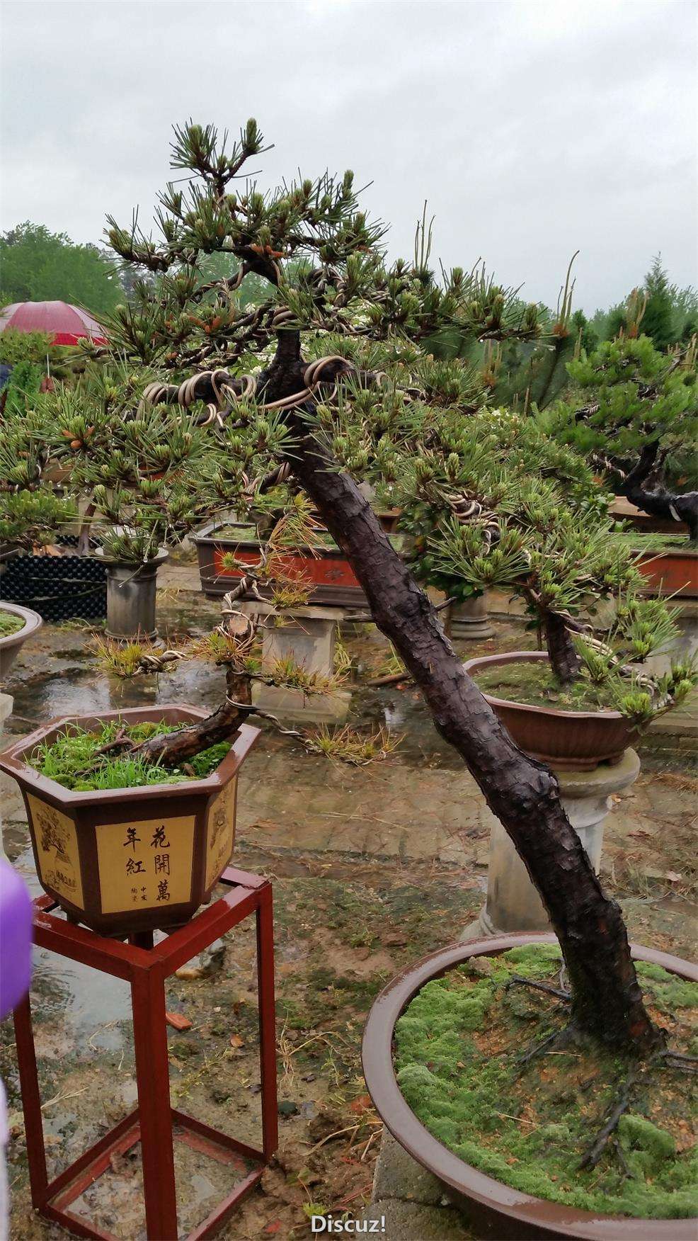 20160416_085801.jpg