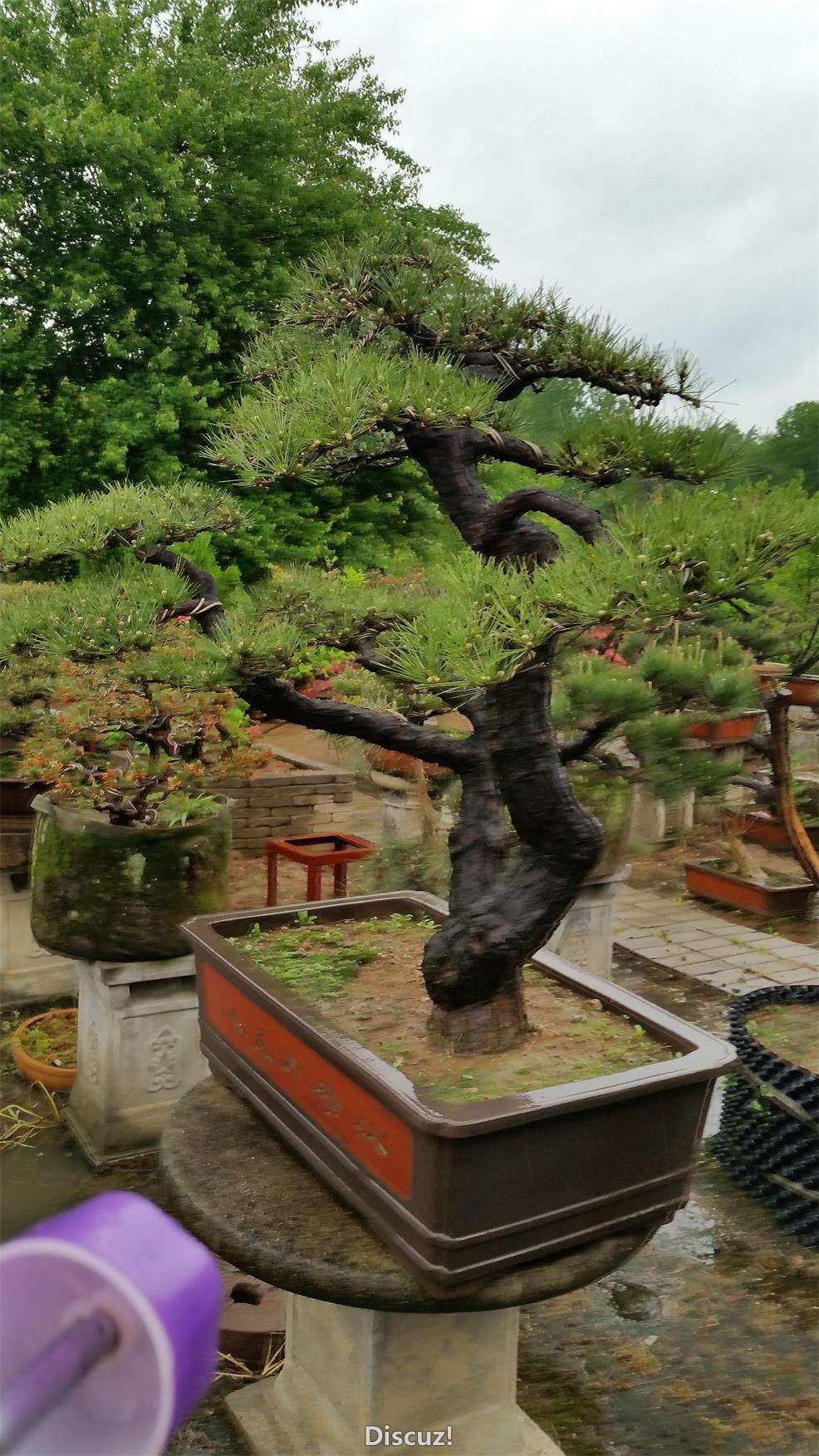 20160416_090158.jpg