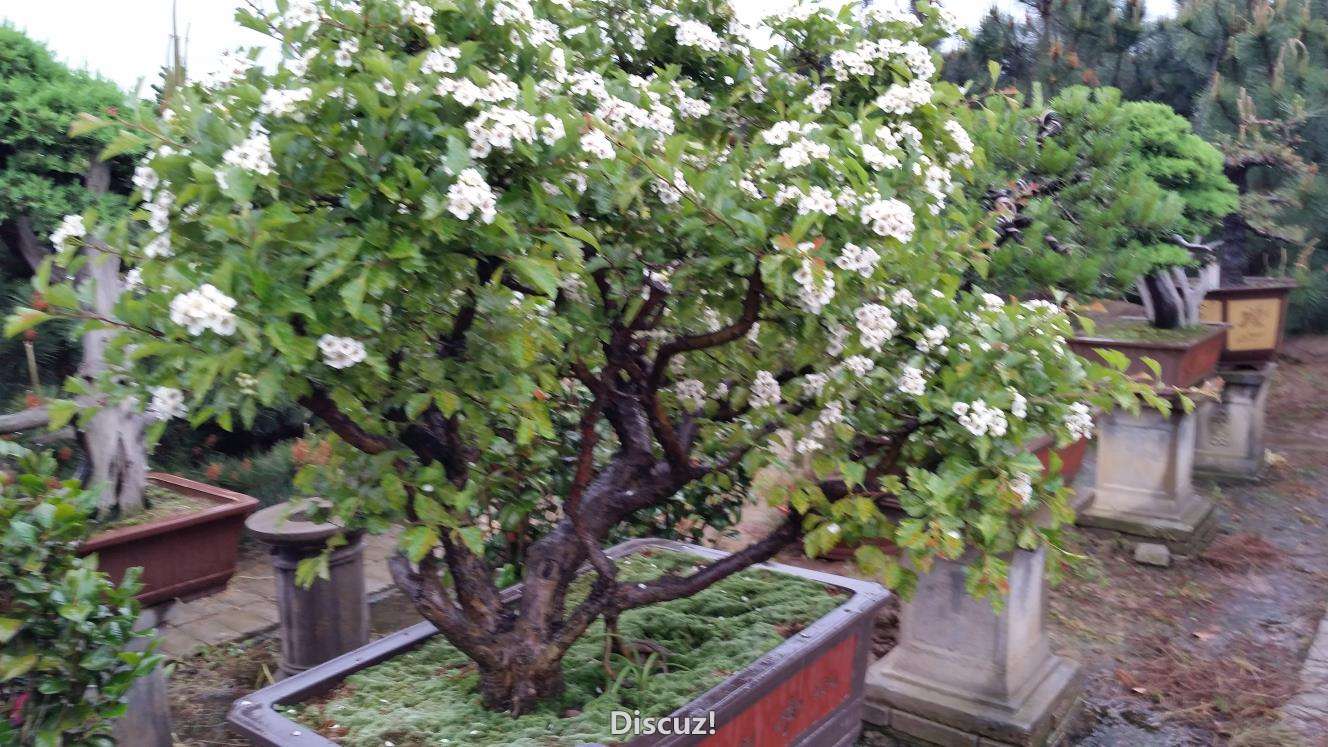 20160416_090205.jpg