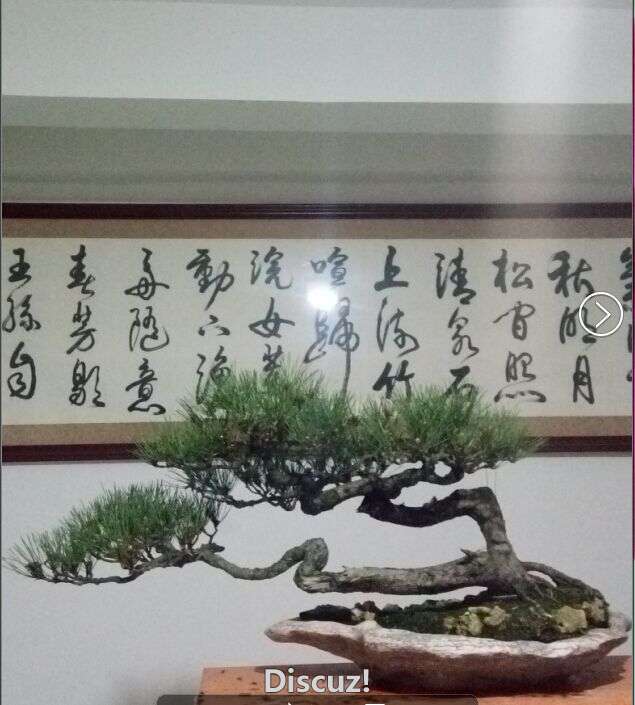 QQͼƬ20160418175843.jpg