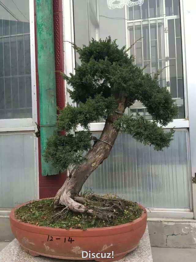 a5.jpg