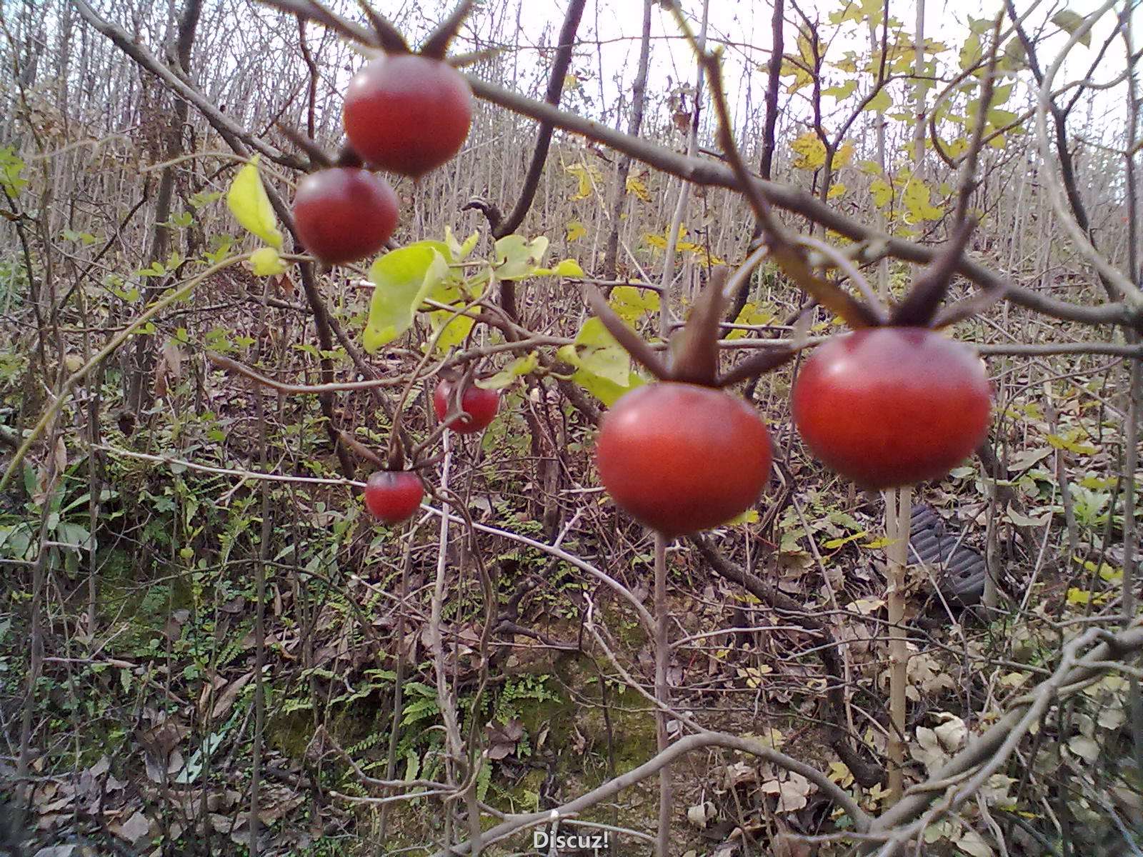 201103231921.jpg