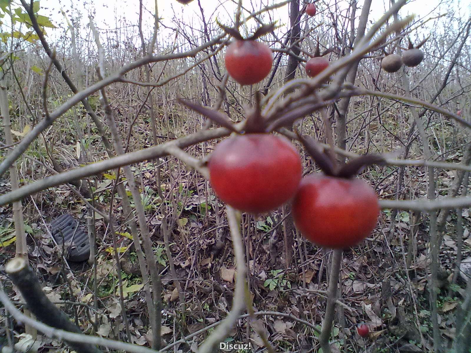 201103231922.jpg