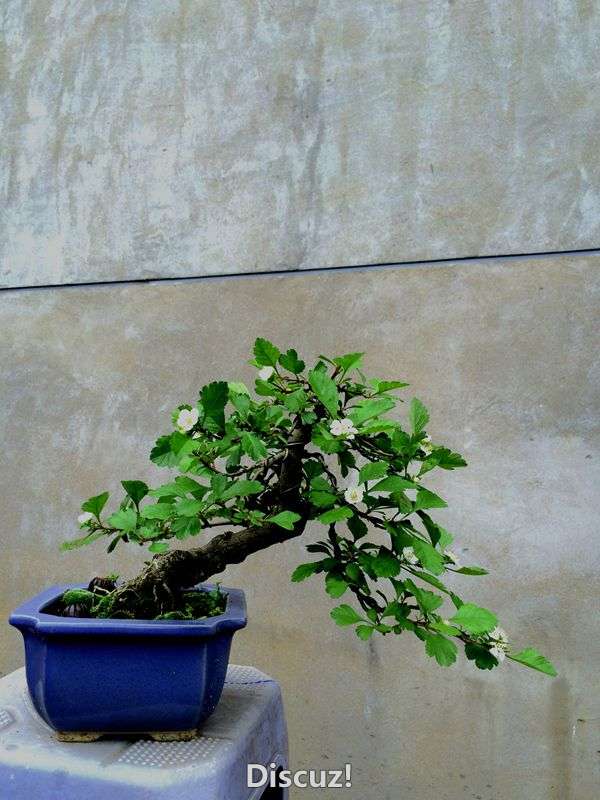 Ƭ 034_.jpg