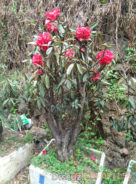 IMG_20160405_115909.jpg