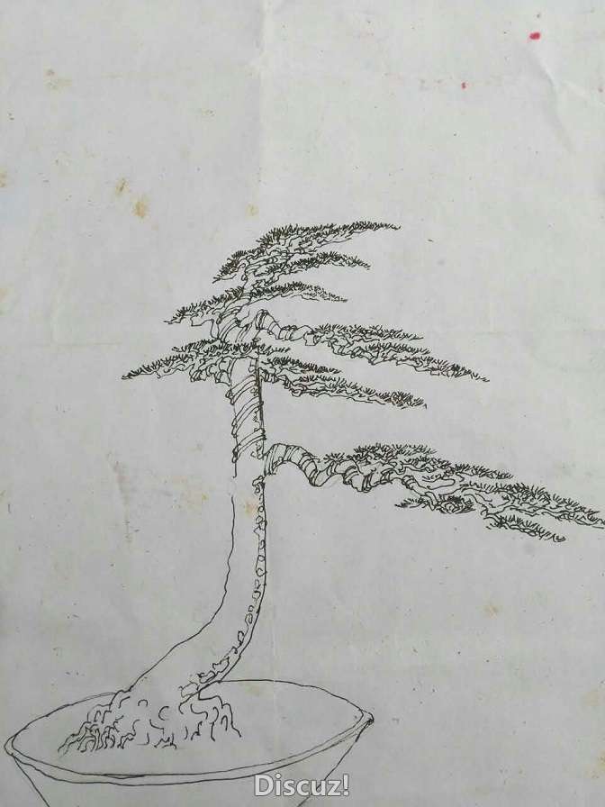 02.jpg
