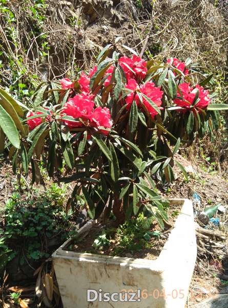 IMG_20160405_123256.jpg
