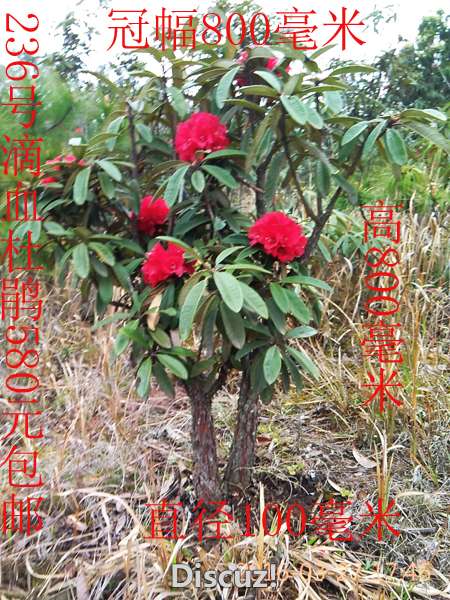 IMG_20160327_174608.jpg