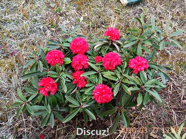 IMG_20160327_174829.jpg